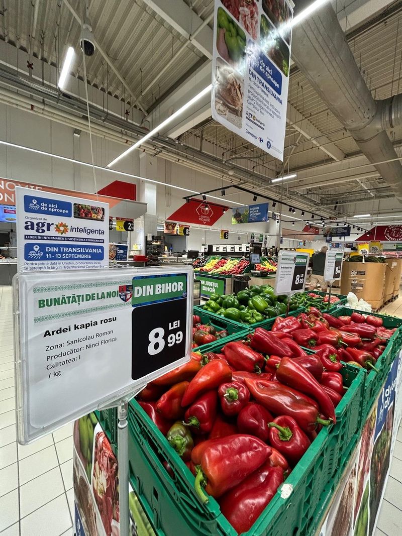 Ardei kapia — producător Ninci, Sânnicolau Român