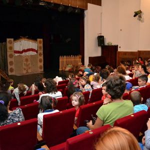 Condiții proaste la teatrele de păpuși: CJ Bihor abia cere documentația