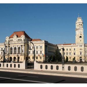Consiliul Local Oradea, convocat de urgență online. Agenda, doar pe site