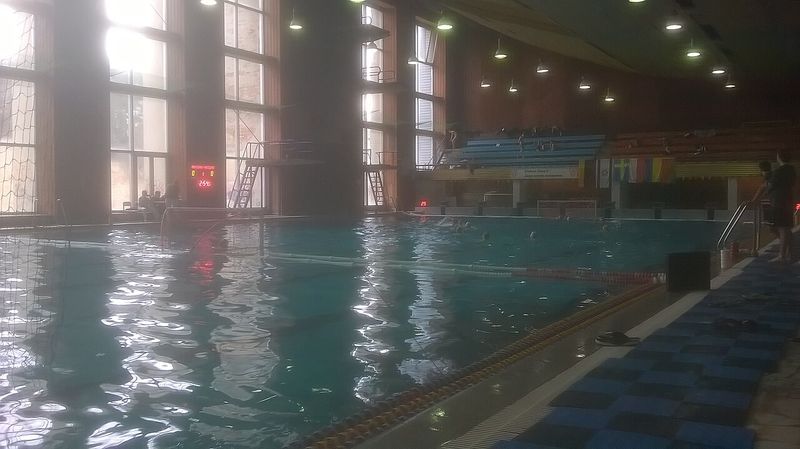 Meci de polo pe apă într-un bazin