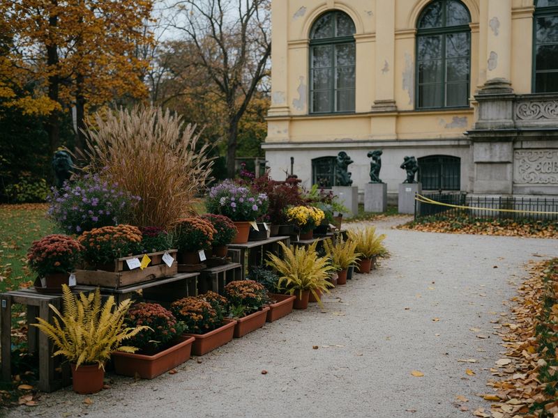 Intrare gratuită la muzeu de FestiFall și de Ziua Orașului