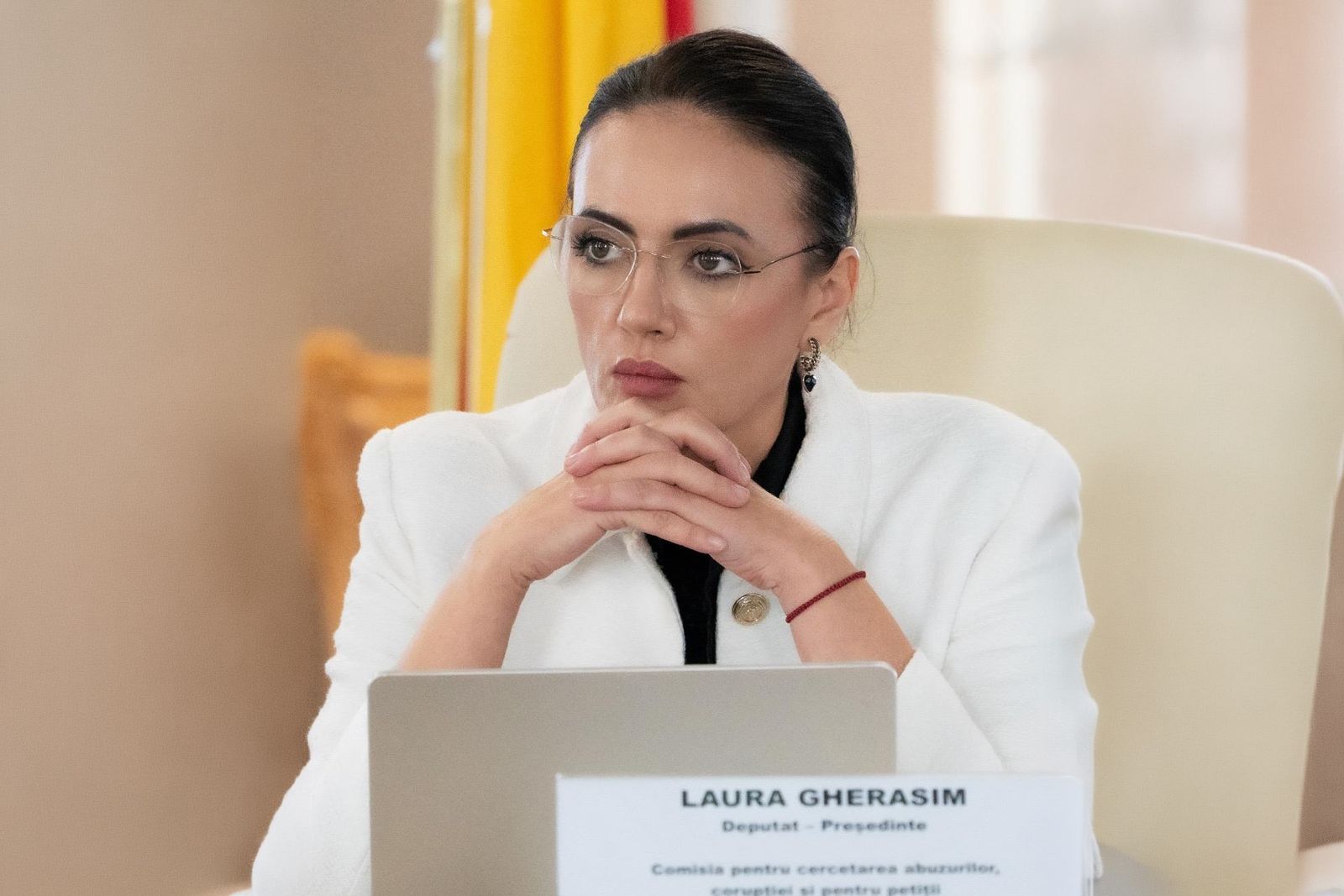 Deputatul AUR Laura Gherasim, președinta Comisiei pentru cercetarea abuzurilor, corupției și pentru petiții